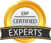 Certified ERP Experts - Bluesol team